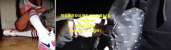 герыч Алексин