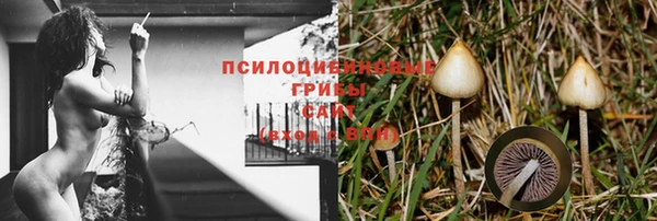 ALPHA PVP Алзамай